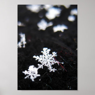 Póster Winter Shape