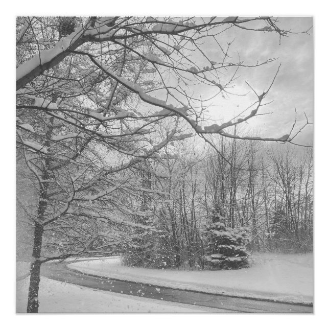 Póster Winter Silence  (Anverso)