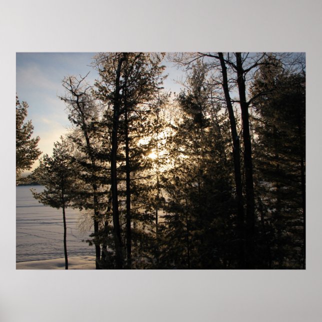 Póster Winter Sunrise 2008 (Frente)