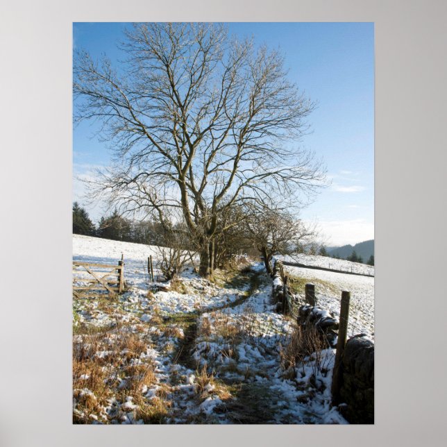 Póster Winter The Macclesfield Forest Card (Frente)