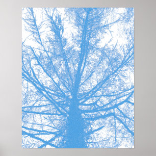 PÓSTER WINTER TREE