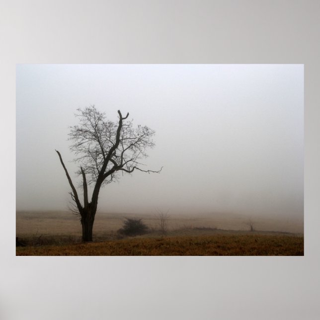 Póster Winter Tree Foggy Meadow (Frente)