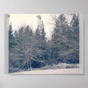 Póster Winter White