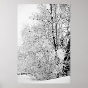 Póster Winter Whites