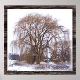 Póster Winter Willow