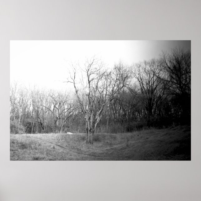 Póster Winter Wind (Frente)