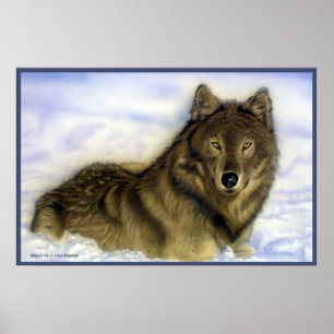 Póster WInter Wolf