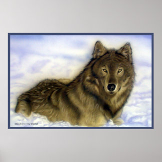 Póster WInter Wolf