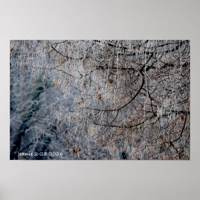 Póster Winter wonderland (Frente)