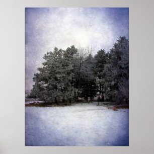 Póster Winter Wonderland