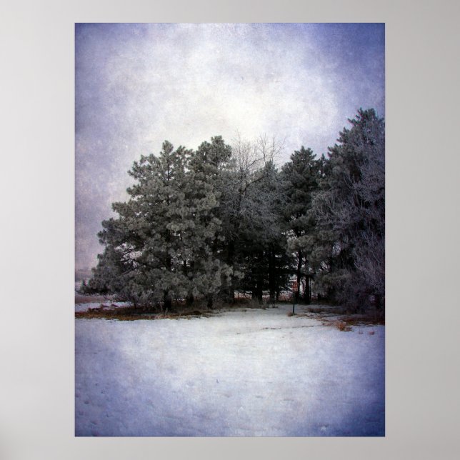 Póster Winter Wonderland (Frente)