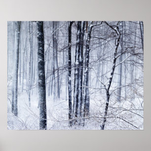 Póster Winter Wonderland