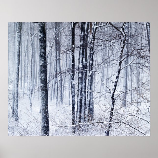 Póster Winter Wonderland (Frente)