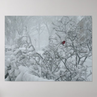 Póster Winter Wonderland