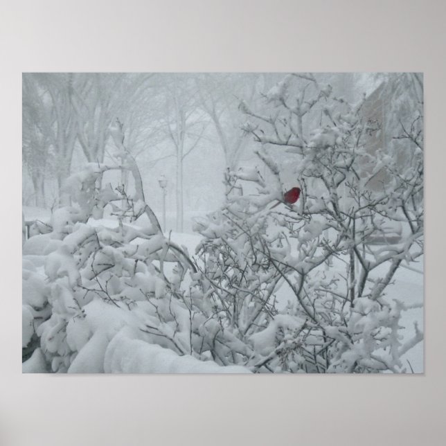 Póster Winter Wonderland (Frente)