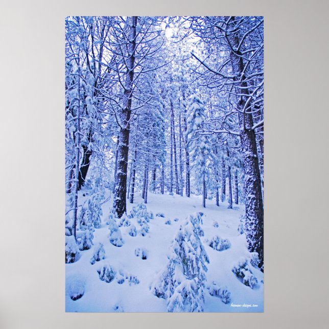 Póster Winter Wonderland (Frente)