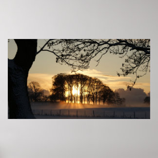 Póster Winter wonderland