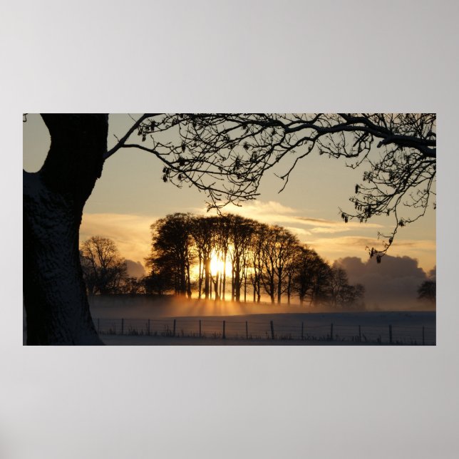 Póster Winter wonderland (Frente)