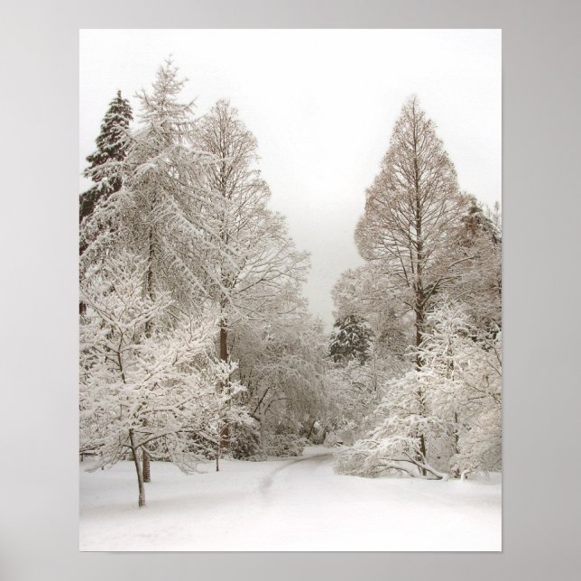 Póster Winter Wonderland Art Print Winter Forest Poster (Frente)