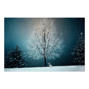 Póster Winter Wonderland con conejo