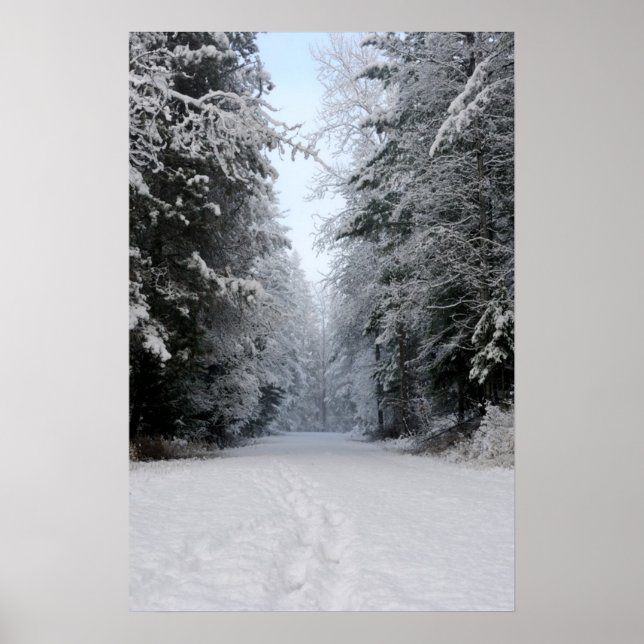 Póster Winter Wonderland Road POSTER (Frente)