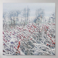 winterberry y cattails