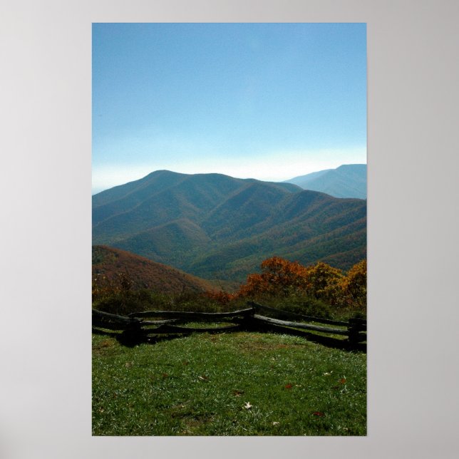 Póster Wintergreen (Frente)