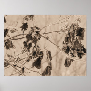 Póster Winter's Chill on the Dead Leaves on a Branch