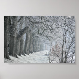 Póster Winters Morning