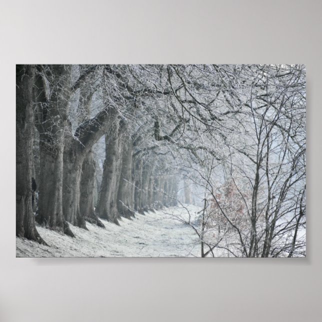 Póster Winters Morning (Frente)