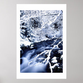 Póster Winterscape