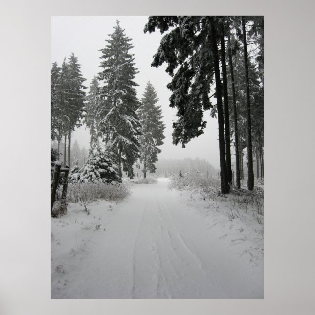 Póster winterwald (Frente)