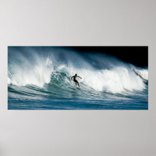 Póster wipeout