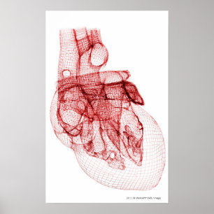Póster Wireframe digital del corazón humano