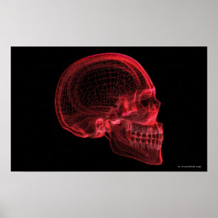 Póster Wireframe rojo de un cráneo