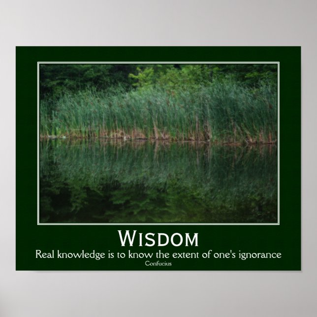 Póster Wisdom Confucius Quote Cattails Inspirador (Frente)
