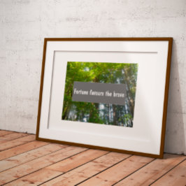 Póster Wisdom Fortune favorece al valiente poster que dic