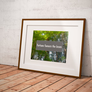 Póster Wisdom Fortune favorece al valiente poster que dic