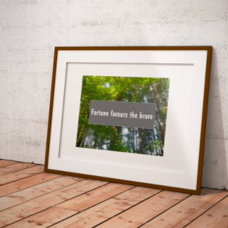 Póster Wisdom Fortune favorece al valiente poster que dic