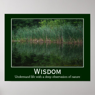 Póster Wisdom Quote Cattails In Pond Inspirational