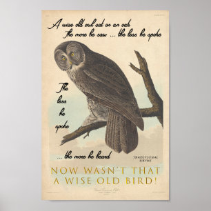 Póster Wise Old Owl