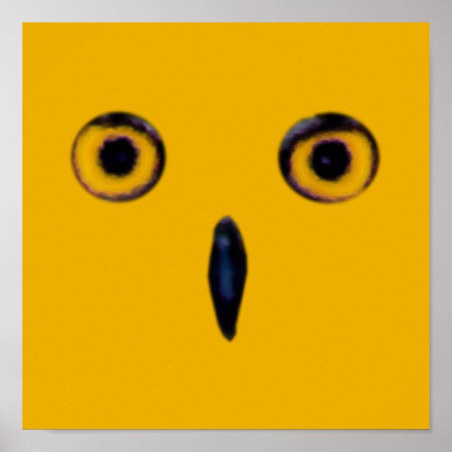 Póster Wise Old Owl Eyes (Frente)