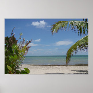 Póster Wish I Was There