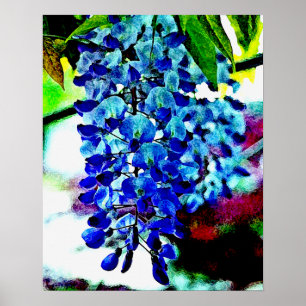 Póster Wisteria azul