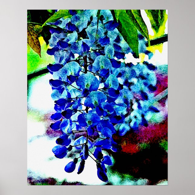 Póster Wisteria azul (Frente)