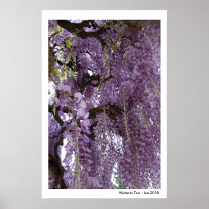 Póster Wisteria Too Poster