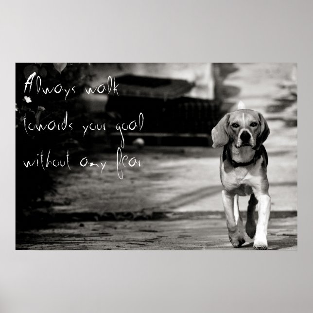 Póster With no fear - Poster (Frente)
