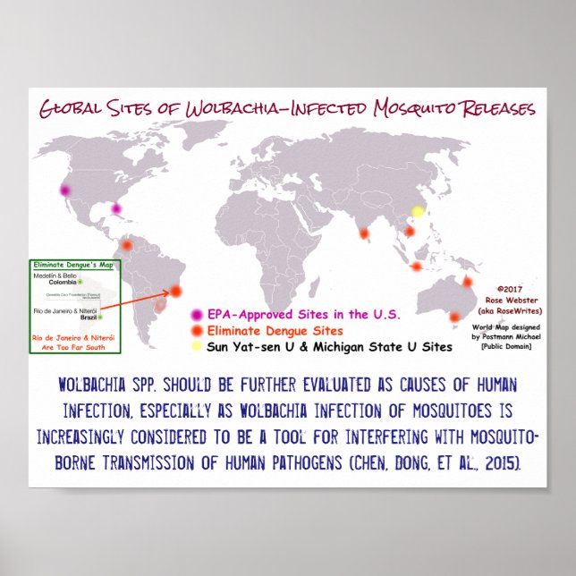 Póster Wolbachia y la infección humana por RoseWrites (Frente)