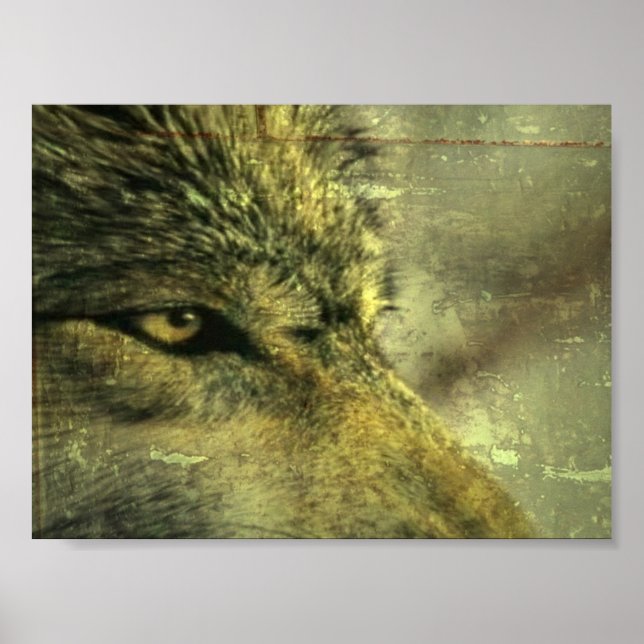 Póster Wolf (Frente)