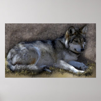 Póster Wolf